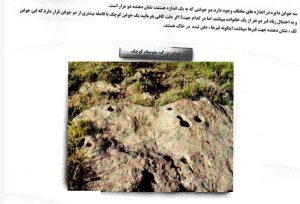 کتاب جوغن ها pdf نسخه کامل با دانلود مستقیم