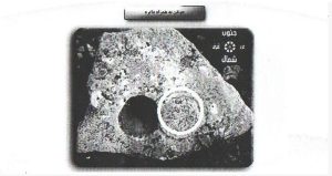 کتاب جوغن ها pdf نسخه کامل با دانلود مستقیم