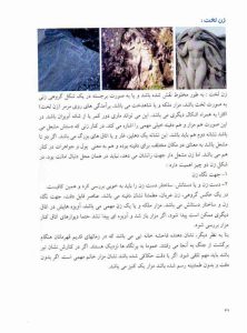 کتاب تفسیر و رمز گشایی علائم باستانی دانلود فایل کامل