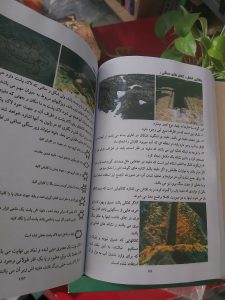 کتاب اسرار نشانه ها pdf دانلود فایل کامل pdf با لینک مستقیم