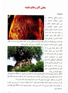 دانلود کتاب چشم طلایی pdf با نسخه جامع و کامل